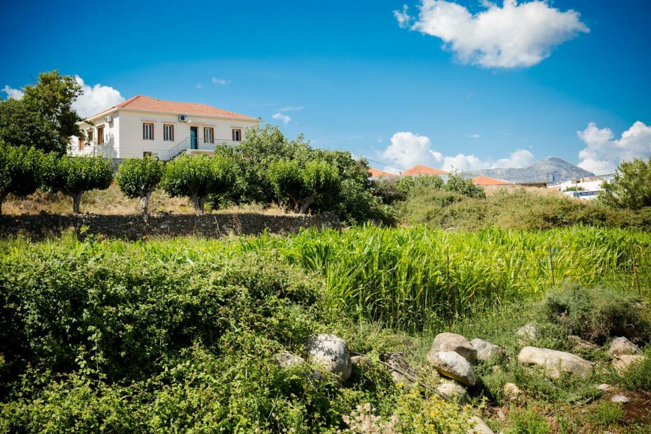 Villa Alexandra Κίσσαμος Εξωτερικό φωτογραφία